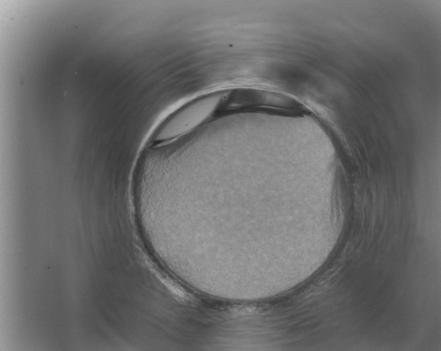 X0000066521230200604141805