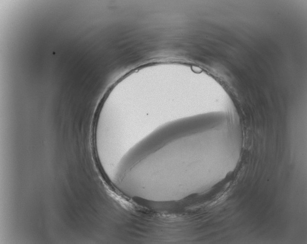 X0000066521231200604141805