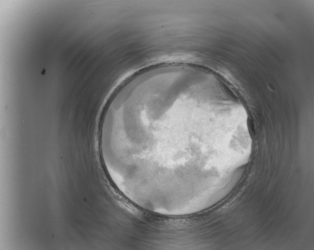 X0000066521232200604141805