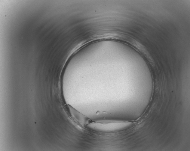 X0000066521234200604141805