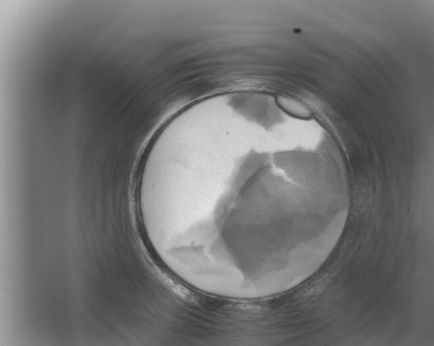 X0000066521235200604141805