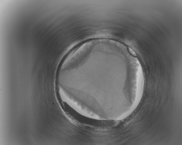 X0000066521237200604141805