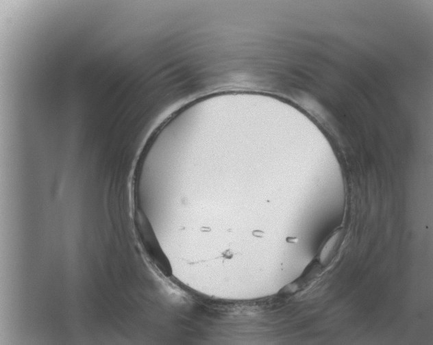 X0000066521238200604141805