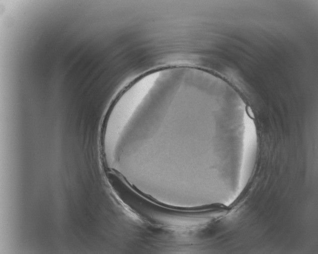 X0000066521240200604141806