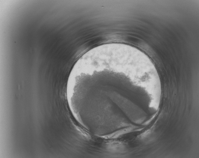 X0000066521241200604141806