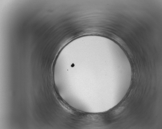 X0000066521242200604141806