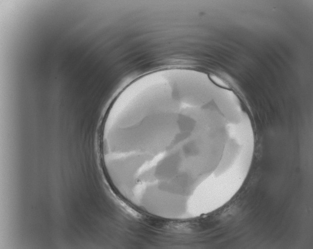 X0000066521243200604141806