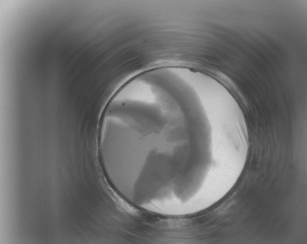 X0000066521244200604141806