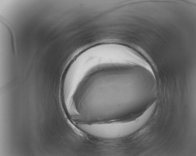 X0000066521245200604141806