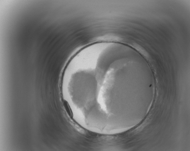 X0000066521248200604141806