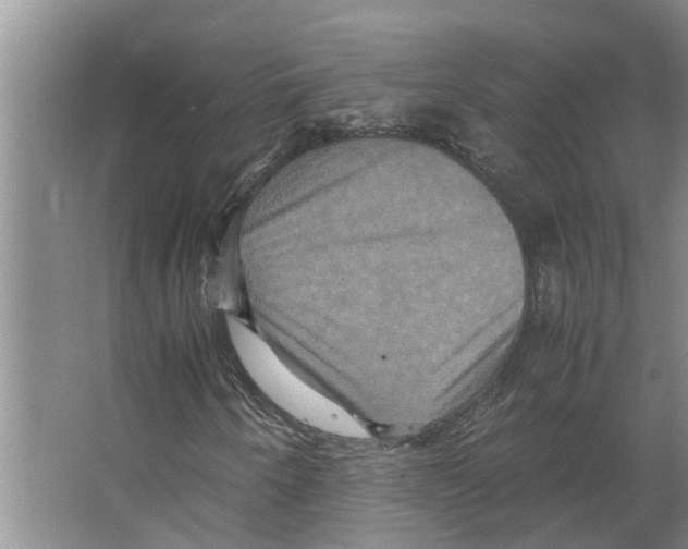 X0000066521250200604141805