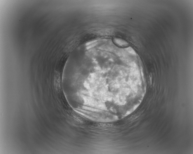 X0000066521251200604141805