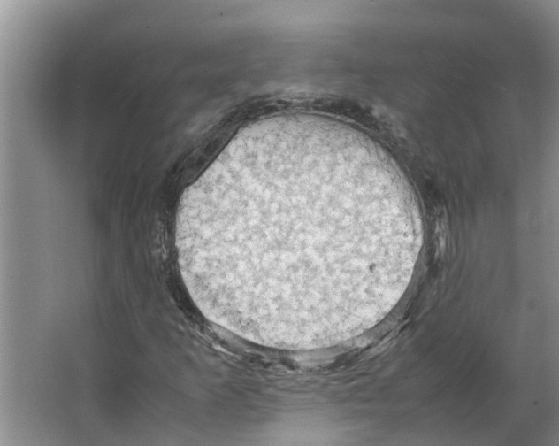 X0000066521253200604141805