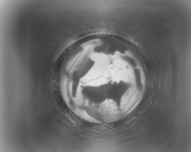 X0000066521255200604141805