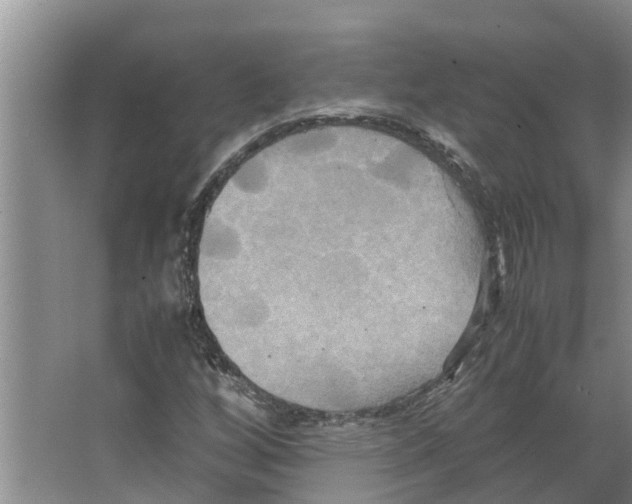 X0000066521256200604141805