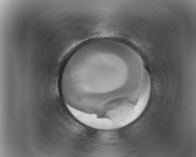 X0000066521262200604141805