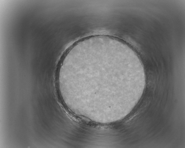 X0000066521264200604141805