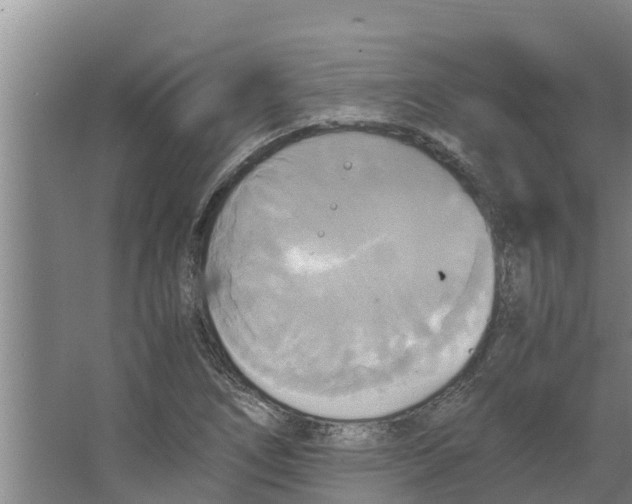 X0000066521266200604141805