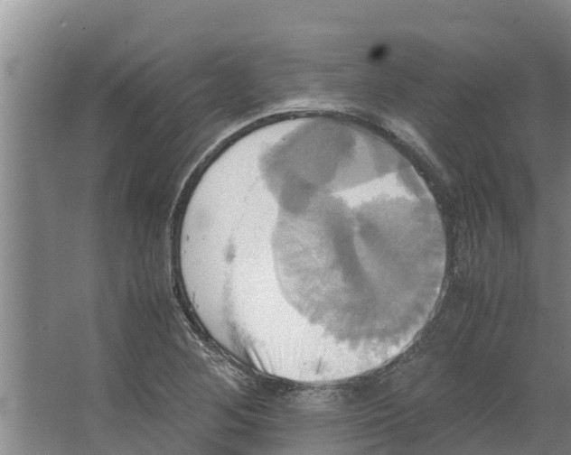 X0000066521268200604141805