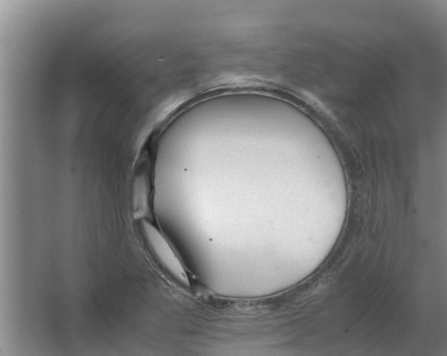 X0000066521269200604141804