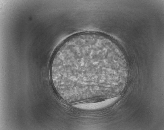 X0000066521271200604141804