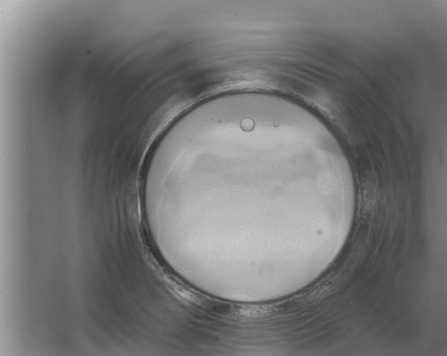 X0000066521274200604141804