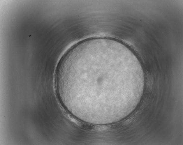 X0000066521278200604141804