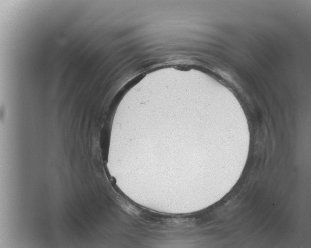 X0000066521281200604141804