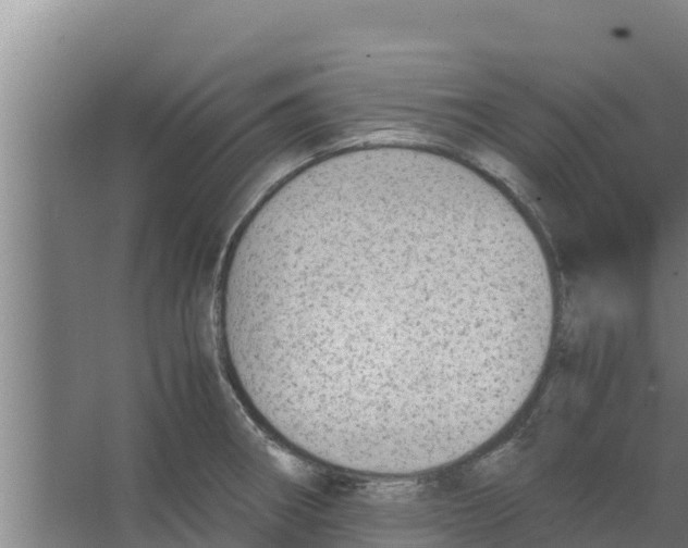 X0000066521282200604141804