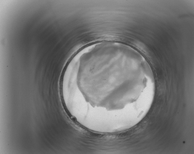 X0000066521283200604141804