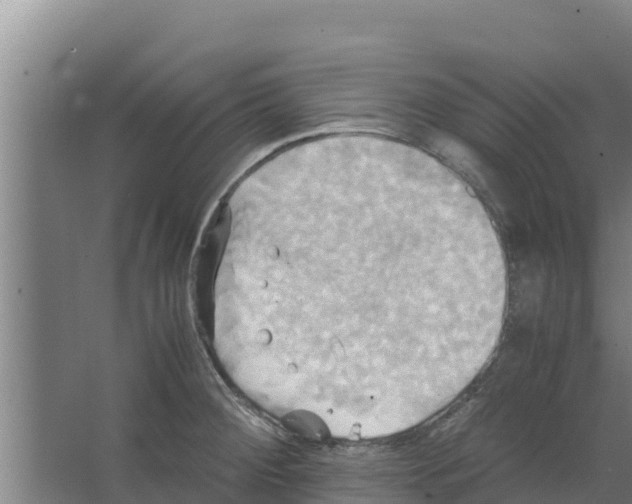 X0000066521284200604141804