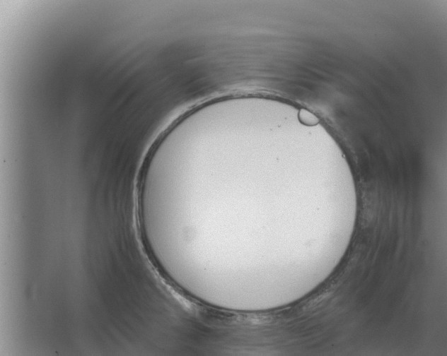 X0000066521286200604141804