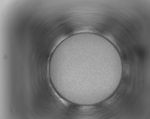 X0000066521290200604141804