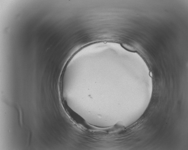 X0000066521291200604141804