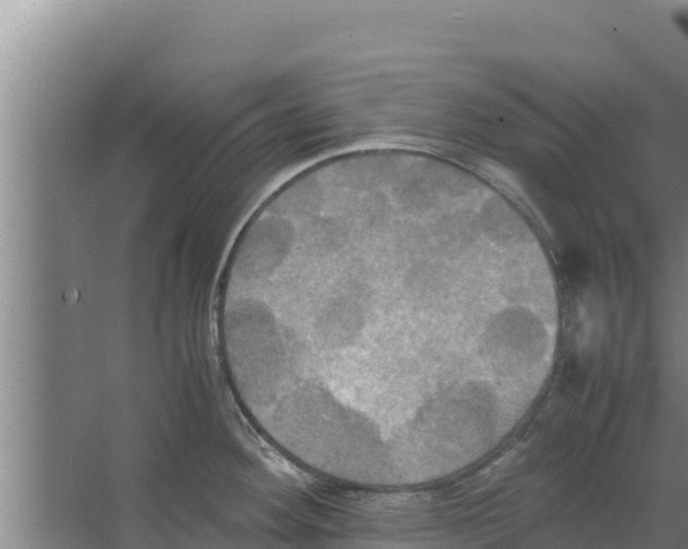 X0000066521292200604141804