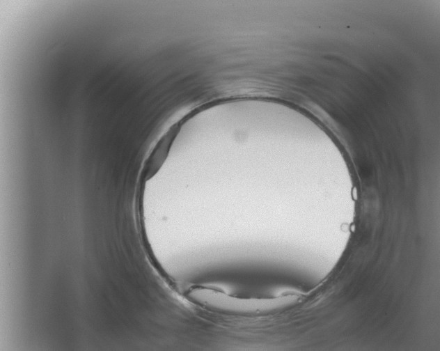 X0000066521293200604141804