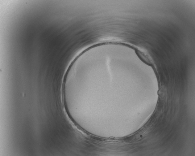 X0000066521295200604141804