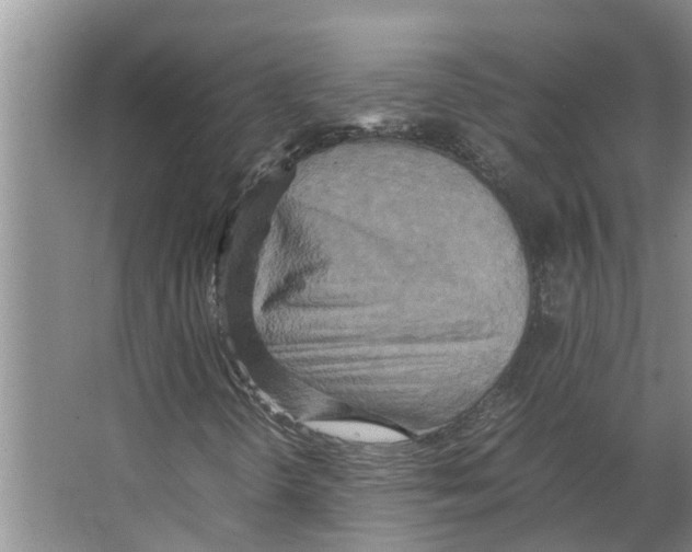 X0000066521298200604141803