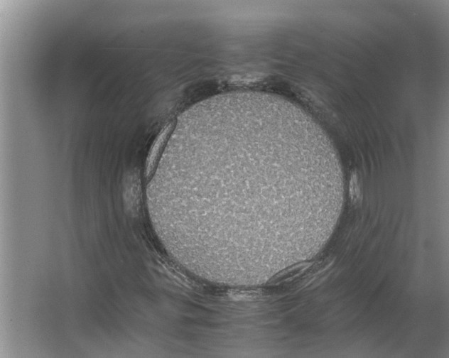 X0000066521299200604141803