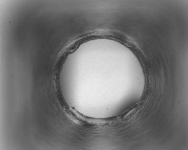 X0000066521304200604141803