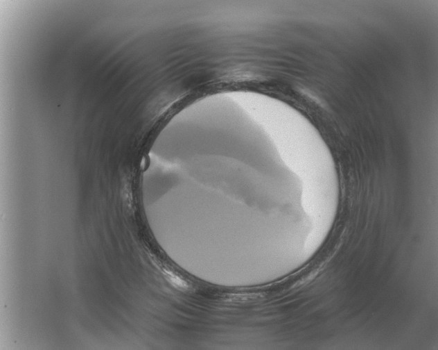 X0000066521305200604141803