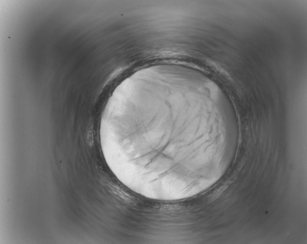 X0000066521306200604141803