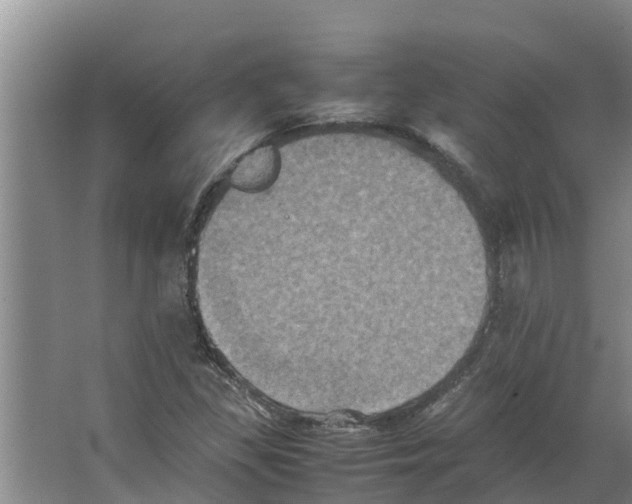 X0000066521309200604141803