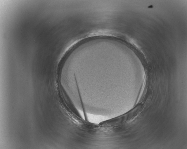 X0000066521312200604141803