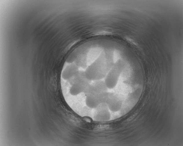 X0000066521313200604141804