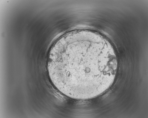 X0000066521314200604141804