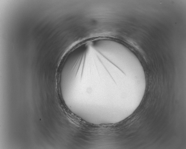 X0000066521316200604141804