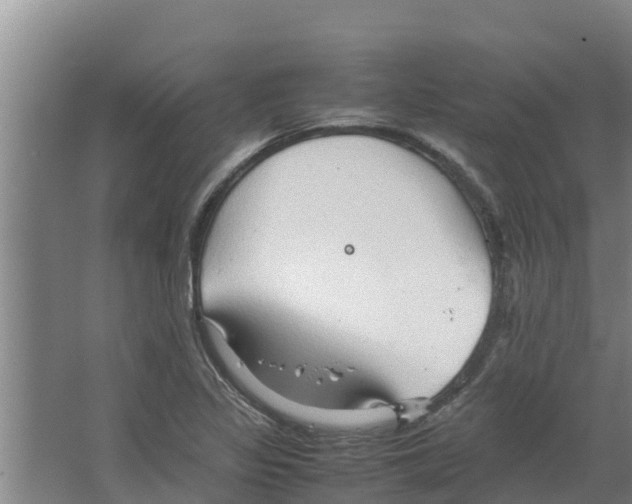 X0000066521317200604141804