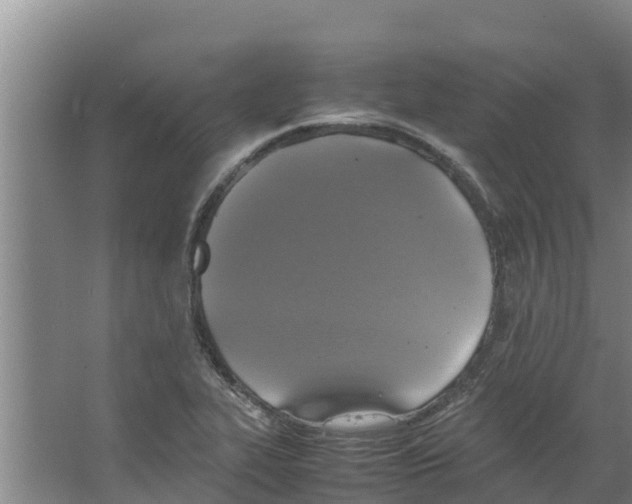 X0000066521319200604141804