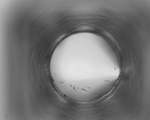 X0000066521321200604141804